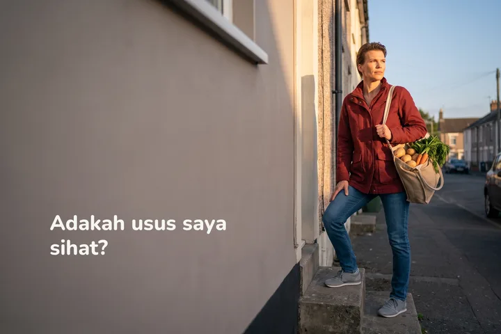 Adakah usus saya sihat? — seorang wanita menaiki tangga rumahnya pada waktu petang dengan beg sayur