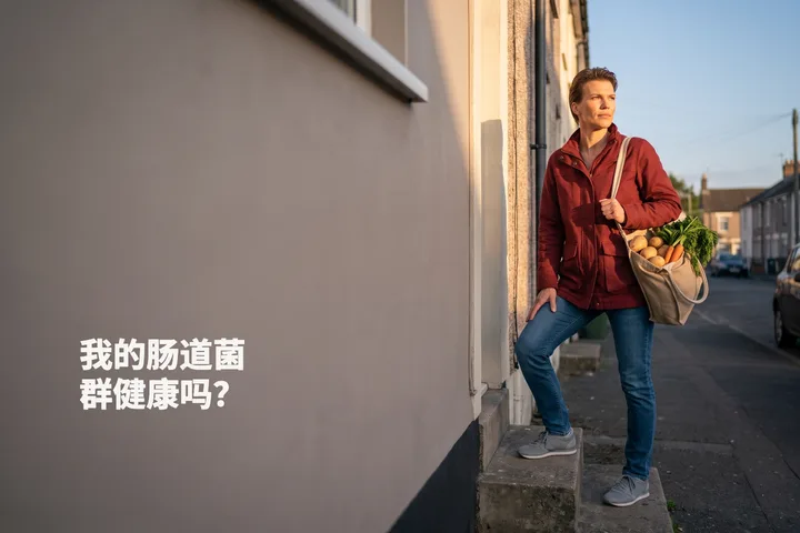 我的肠道菌群健康吗? — 傍晚,一位女性提着一袋蔬菜走上自家门前的台阶