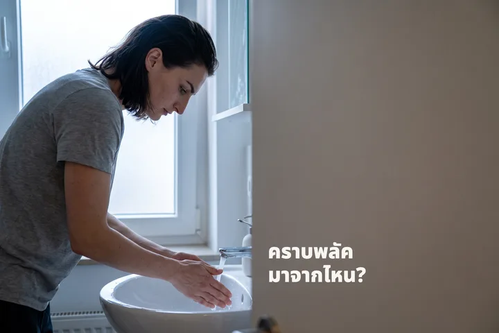 คราบพลัคมาจากไหน? — ผู้หญิงก้มอยู่เหนืออ่างล้างหน้าในแสงเช้าเย็นตา เพิ่งบ้วนปากเสร็จ
