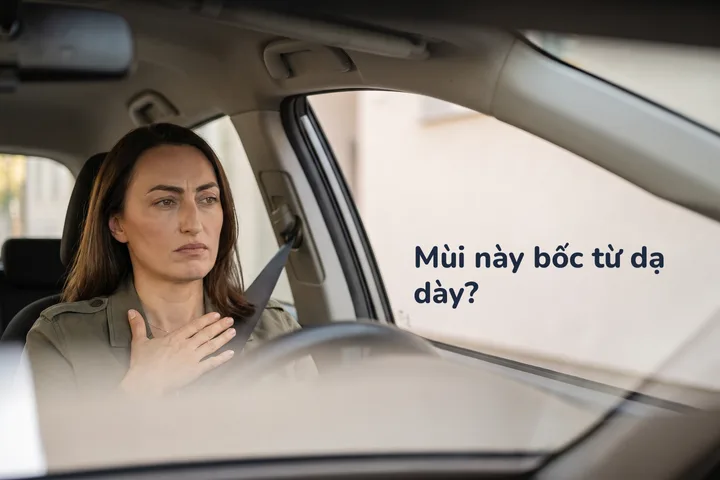 Mùi này bốc từ dạ dày? — một phụ nữ ngồi trong xe đỗ giữa buổi sáng, lòng bàn tay áp phẳng lên bụng